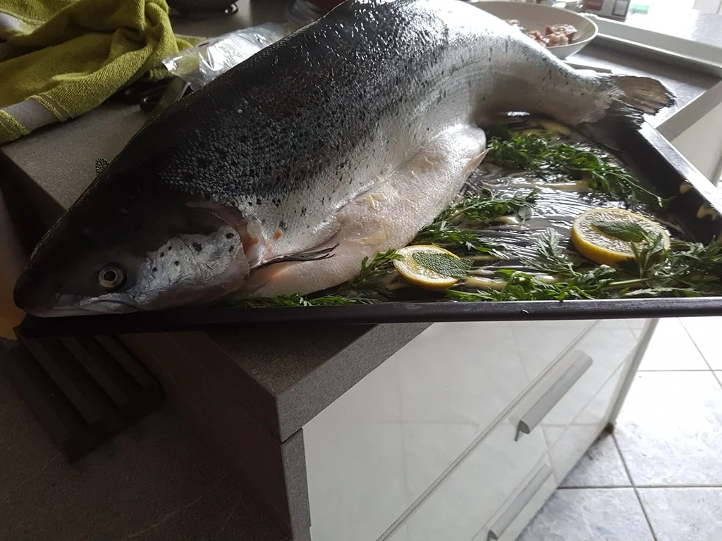 Rezept: Fisch / Lachs = ein "Ganzer" Lachs mit Zitronenbuttersosse à la Biggi Bild Nr. 6 Fisch / Lachs = ein "Ganzer" Lachs mit Zitronenbuttersosse à la Biggi - Rezept - Bild Nr. 6