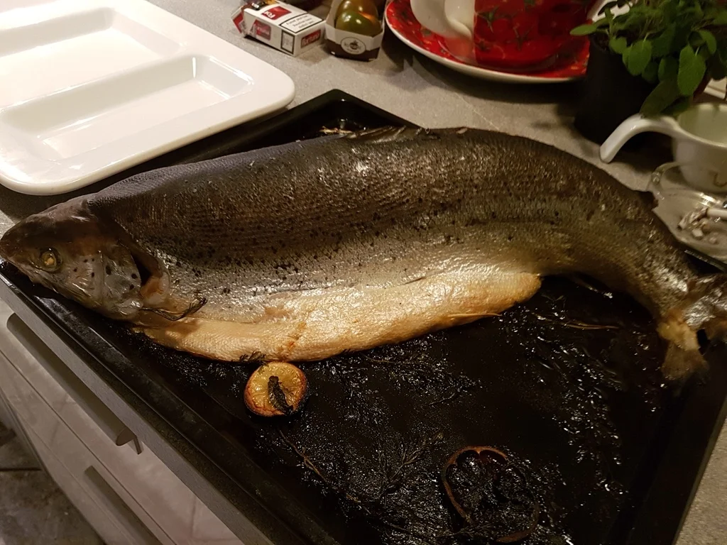 Rezept: Fisch / Lachs = ein "Ganzer" Lachs mit Zitronenbuttersosse à la Biggi Bild Nr. 9 Fisch / Lachs = ein "Ganzer" Lachs mit Zitronenbuttersosse à la Biggi - Rezept - Bild Nr. 9