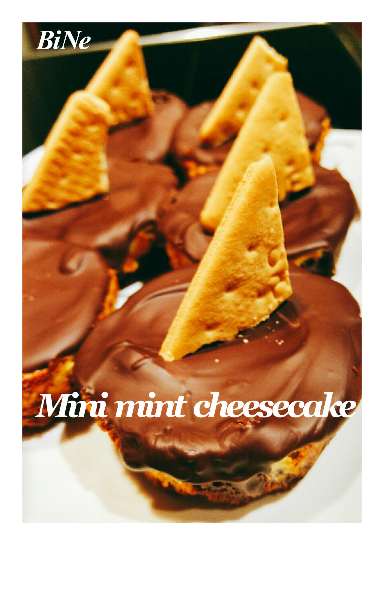 Bilder für BiNe` MINI MINT CHEESECAKE - Rezept