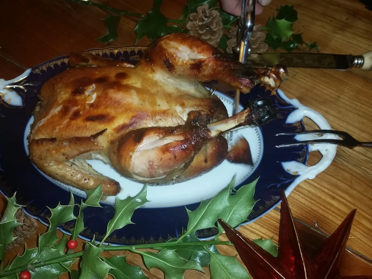 Ofen- Geflügel mit feiner Orangen-Honig-Zimt-Füllung - Rezept