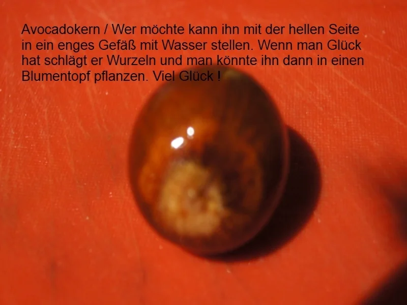 Gemüsesticks mit pikanten Avocado-Dip - Rezept - Bild Nr. 5