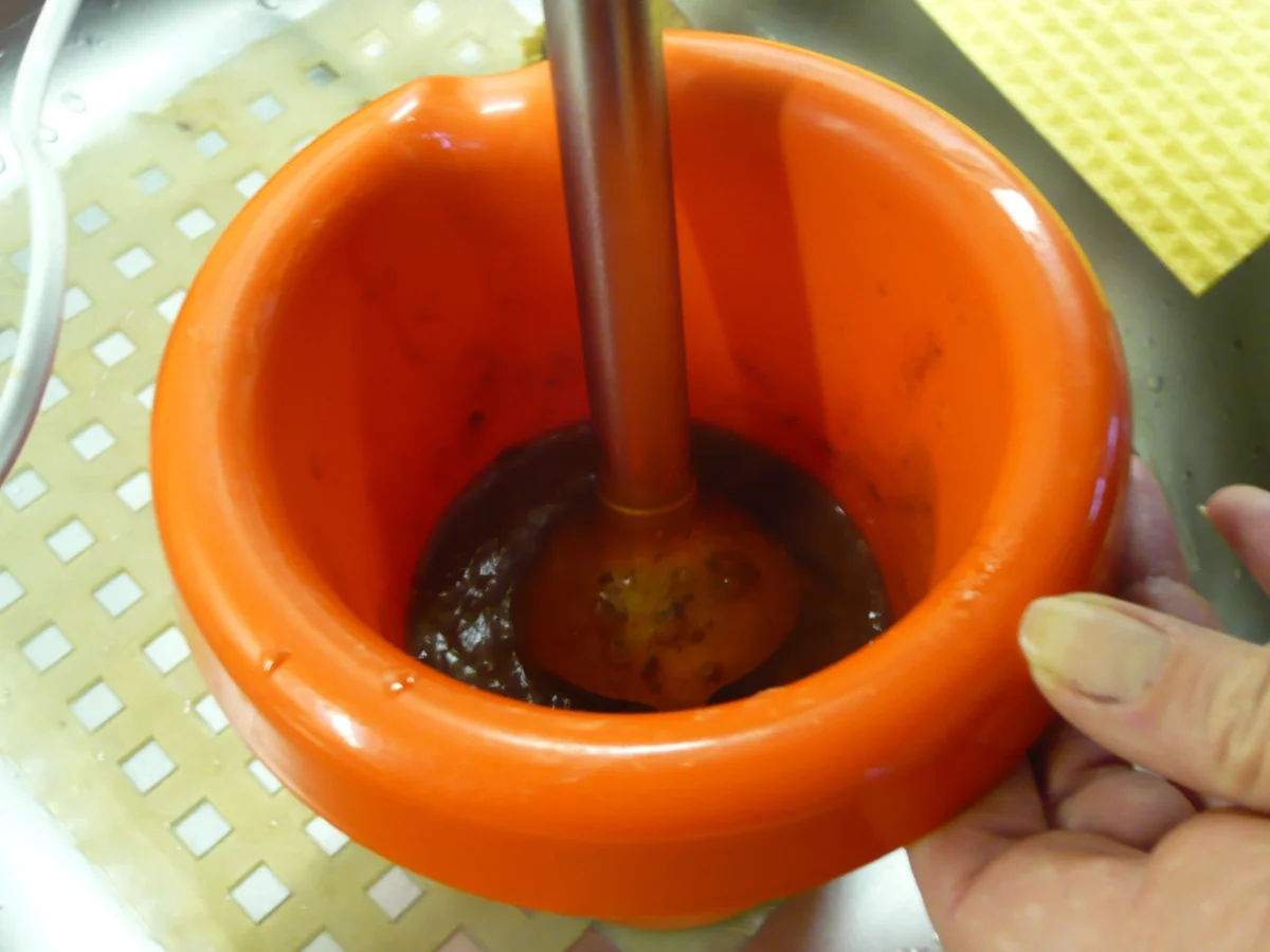 Entenbrust karamellisiert mit Pflaumensoße - Rezept - Bild Nr. 1495