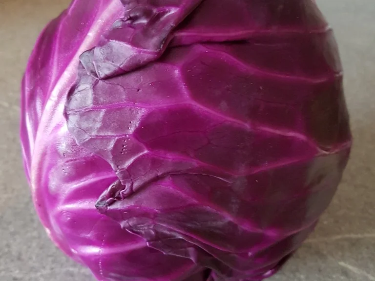 Spitzkohlsalat mit Tamarinde, Fenchel und Passionsfrucht - Rezept - Bild Nr. 1519