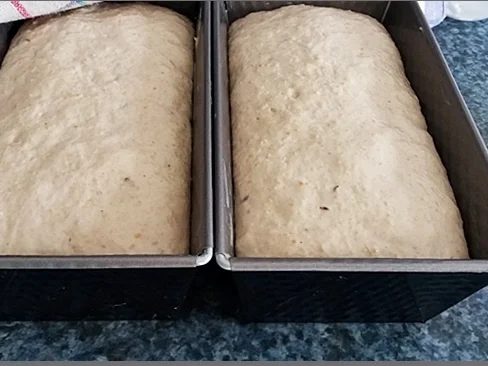 Selbstgebackenes ➯ Kasten➯ Weizenbrot - Rezept - Bild Nr. 1526