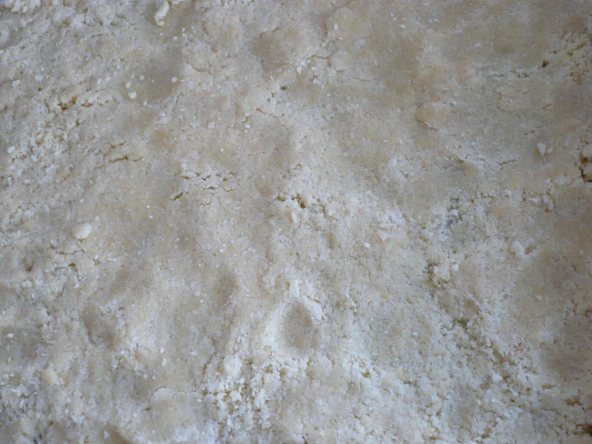 Schmand - Madarinen Streuselkuchen - Rezept - Bild Nr. 1527