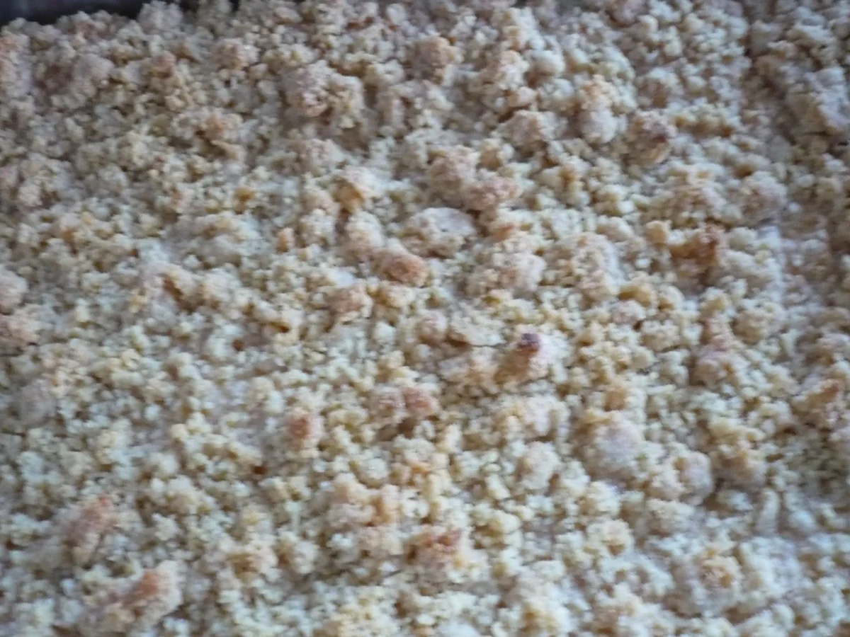 Schmand - Madarinen Streuselkuchen - Rezept - Bild Nr. 1532