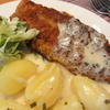 Fisch:   ROTBARSCH gebraten - Rezept - Bild Nr. 1522