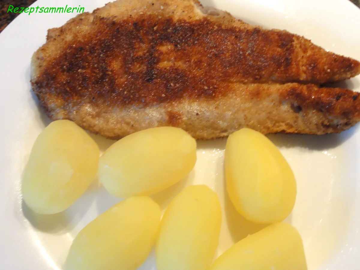 Rezept: Fisch: ROTBARSCH gebraten Bild Nr. 1535 Fisch: ROTBARSCH gebraten - Rezept - Bild Nr. 1535