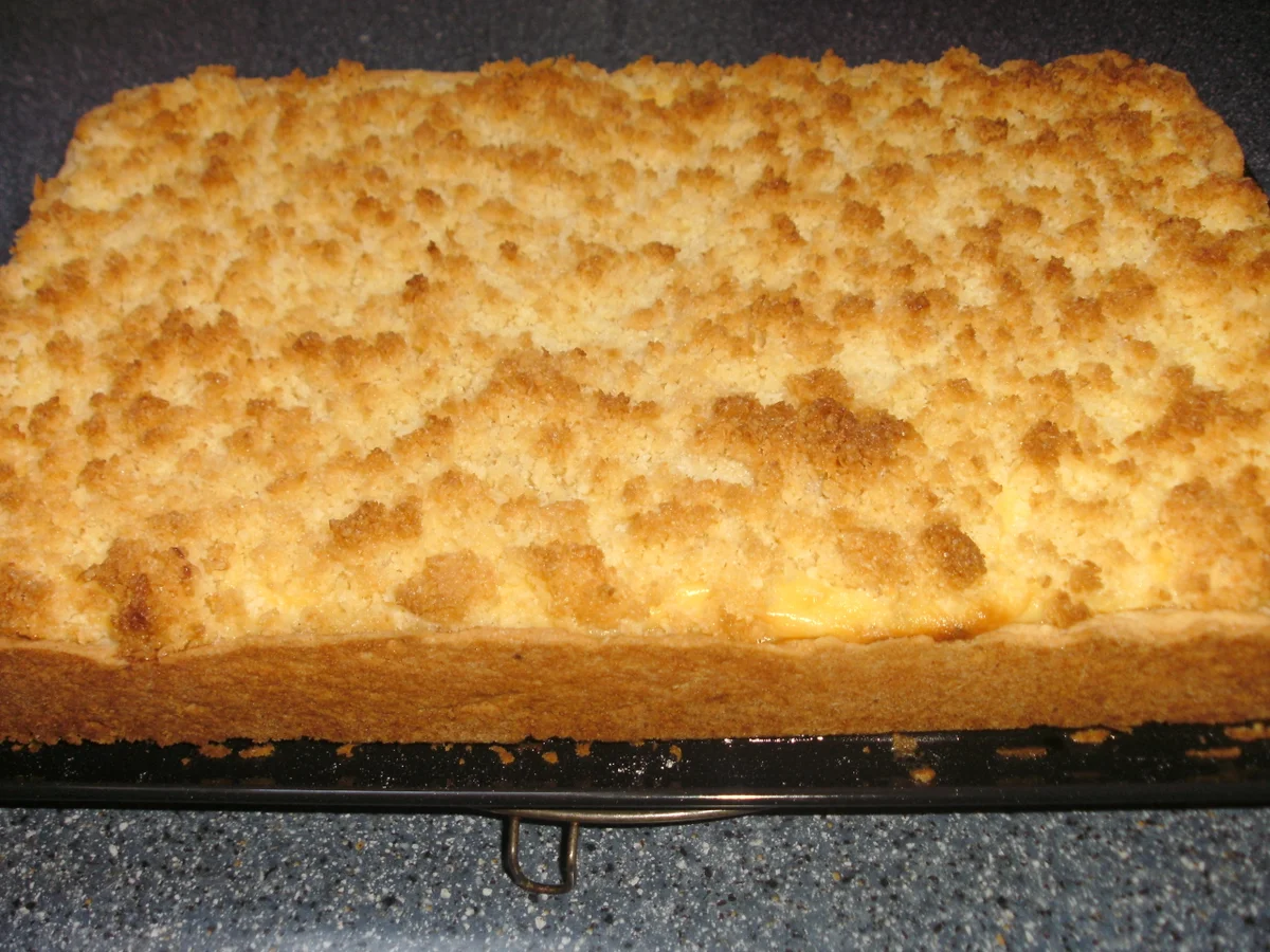 Rezept: Mandarinen - Kokos - Quarkkuchen Bild Nr. 1576 Mandarinen - Kokos - Quarkkuchen - Rezept - Bild Nr. 1576