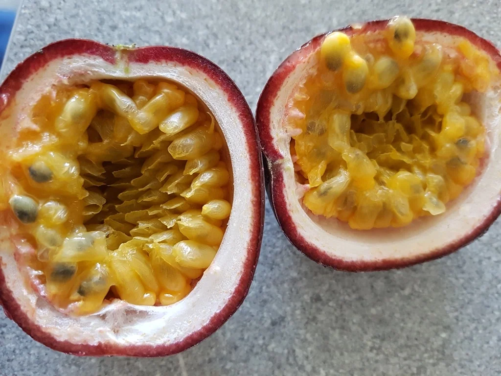 Schnelle Puddingtorte mit Passionsfruchtdeckel - Rezept - Bild Nr. 1584