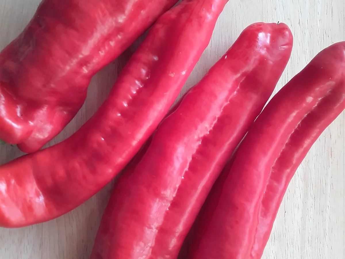 Paprika-Gewürz-Creme nach Ana`s Art - Rezept - Bild Nr. 1600