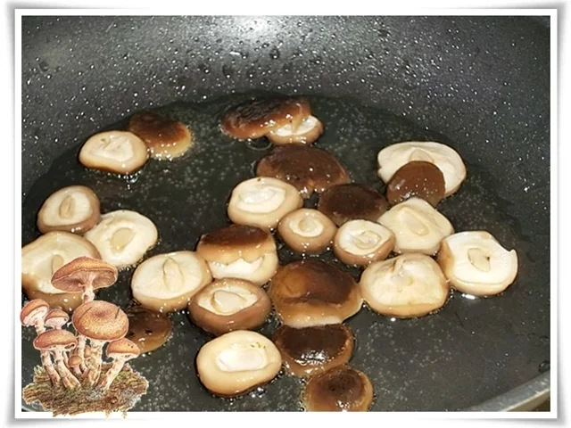 Nudelsuppe ➯ die Landesküche von Laos - Rezept - Bild Nr. 1587