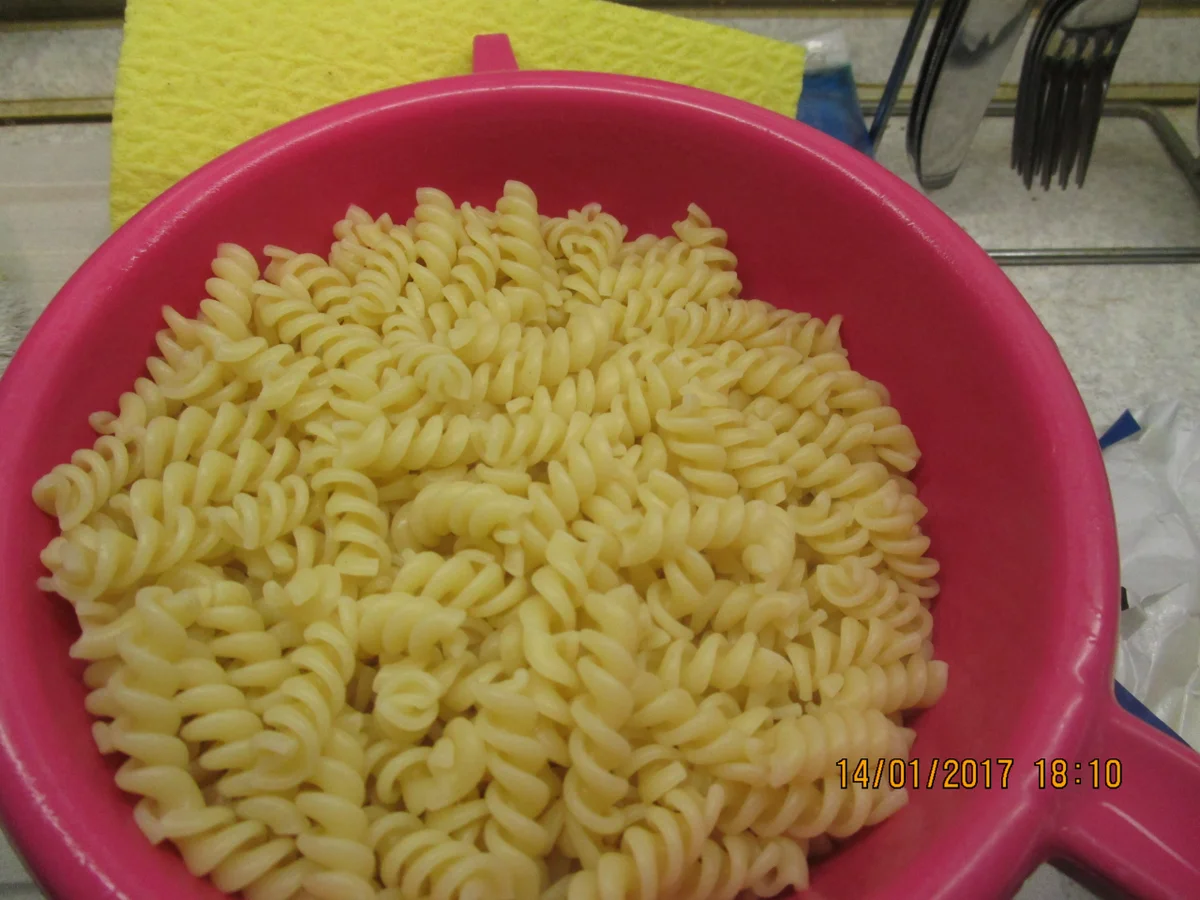 Auflauf: Thunfisch/Nudeln/Champignons/Erbsen - Rezept - Bild Nr. 1594