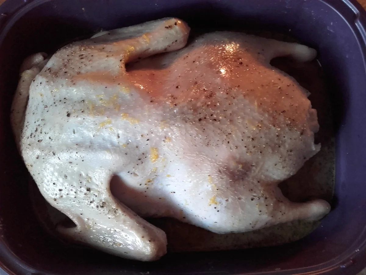 Rezept: Gebratene Ente mit Orange und Portwein Bild Nr. 1584 Gebratene Ente mit Orange und Portwein - Rezept - Bild Nr. 1584