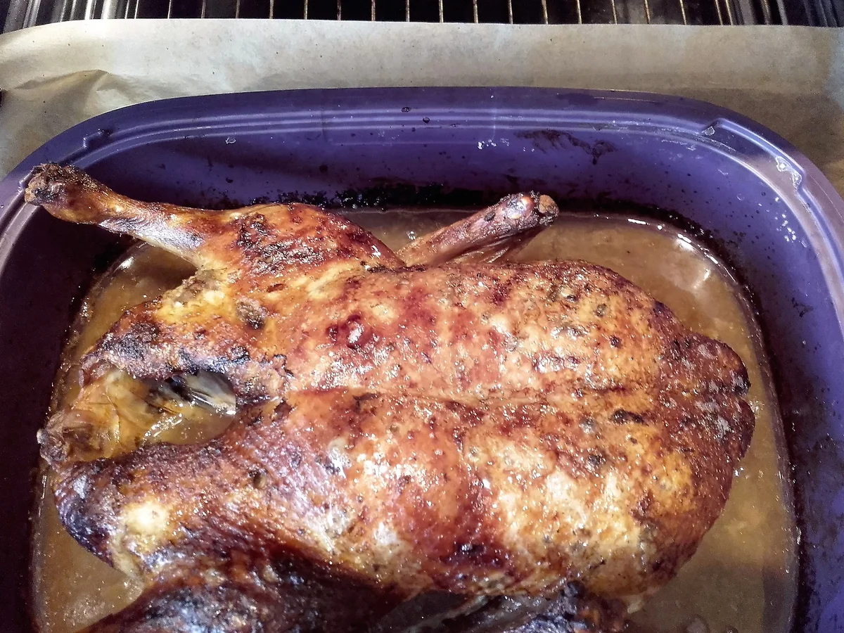 Rezept: Gebratene Ente mit Orange und Portwein Bild Nr. 1587 Gebratene Ente mit Orange und Portwein - Rezept - Bild Nr. 1587