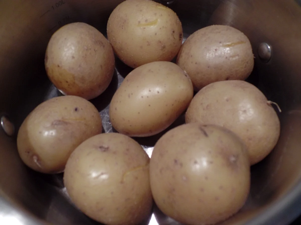 Schwarzkohl-Gratin - Rezept - Bild Nr. 1593