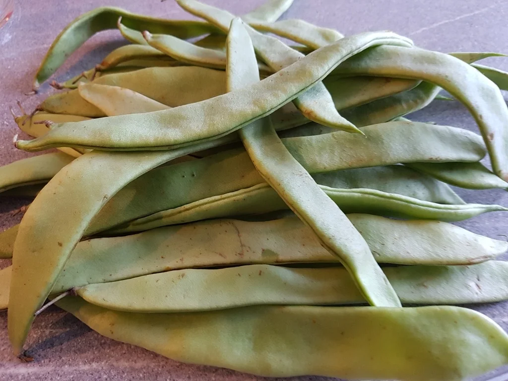 Rezept: Rinderbraten vom Entrecote à la Biggi Bild Nr. 1606 Rinderbraten vom Entrecote à la Biggi - Rezept - Bild Nr. 1606