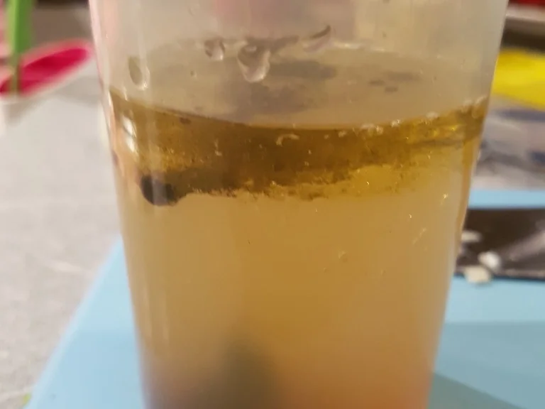 Einfacher grüner Bohnensalat - Rezept - Bild Nr. 8