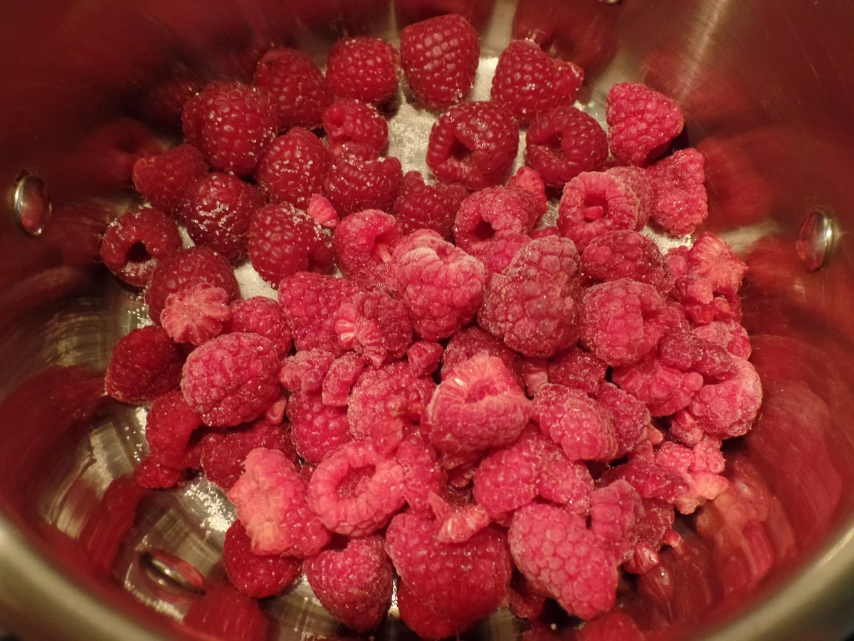 Panna cotta mit Himbeerkompott - Rezept - Bild Nr. 1640