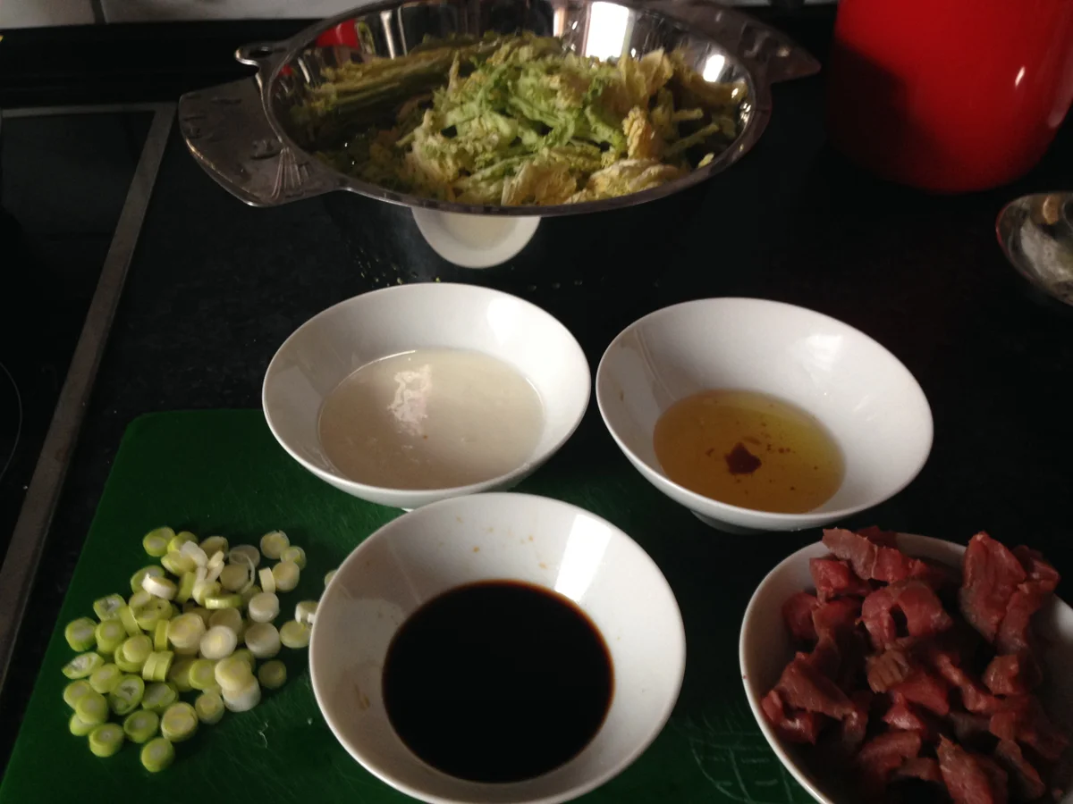 Mongolian Beef - Rezept - Bild Nr. 1657