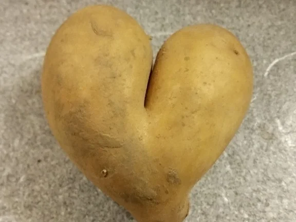 Kartoffelturm mit weissem Gemüse - Rezept - Bild Nr. 1637