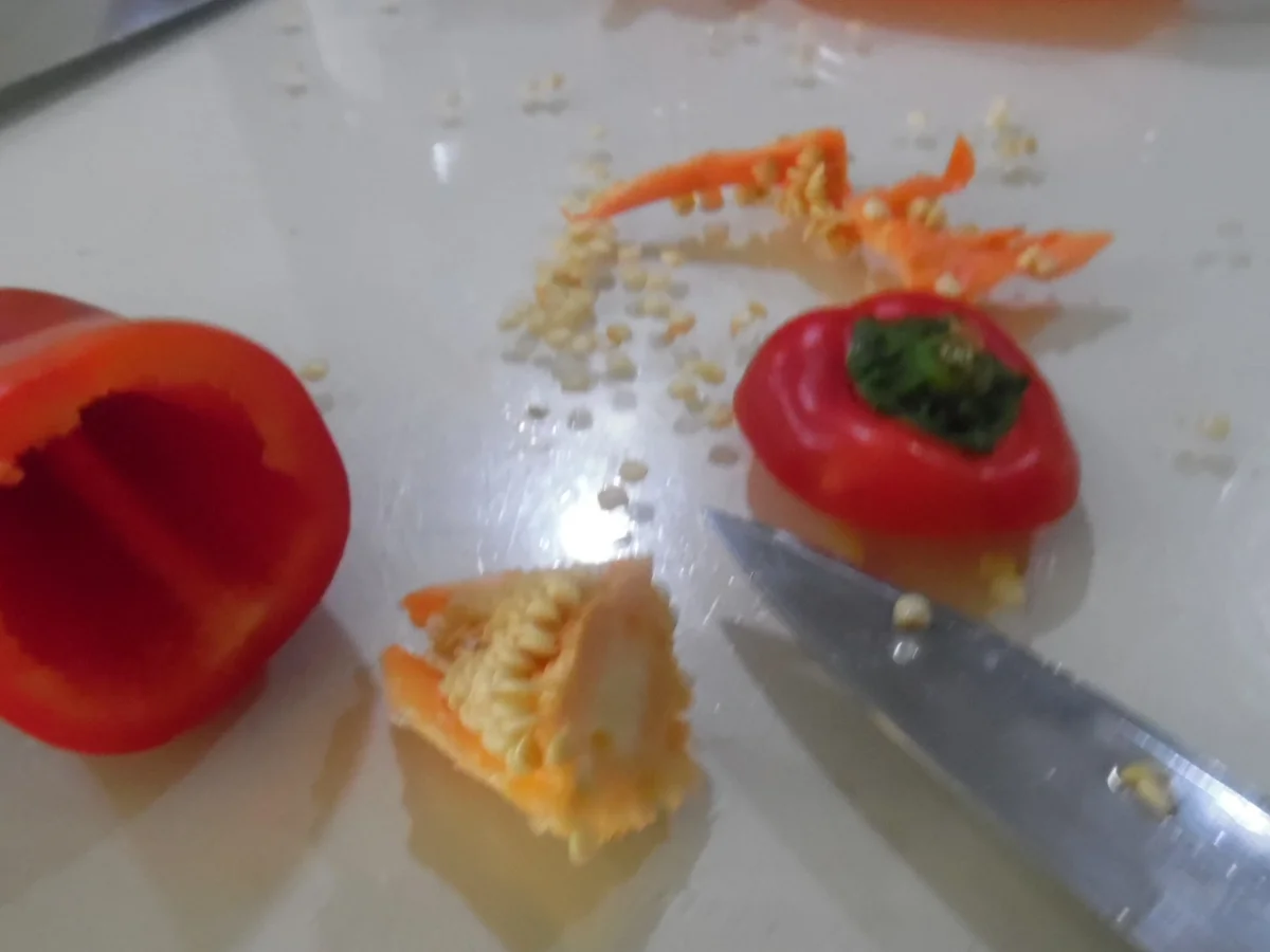 Mini-Paprika gefüllt, in fruchtig-scharfer Tomatensoße - Rezept - Bild Nr. 1679