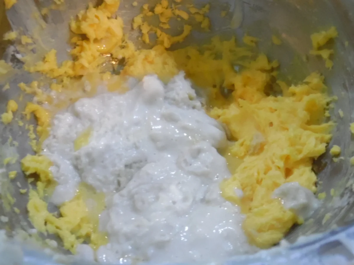 Rezept: Hefe-Nuss-Rolle "Gubana" Bild Nr. 1678 Hefe-Nuss-Rolle "Gubana" - Rezept - Bild Nr. 1678