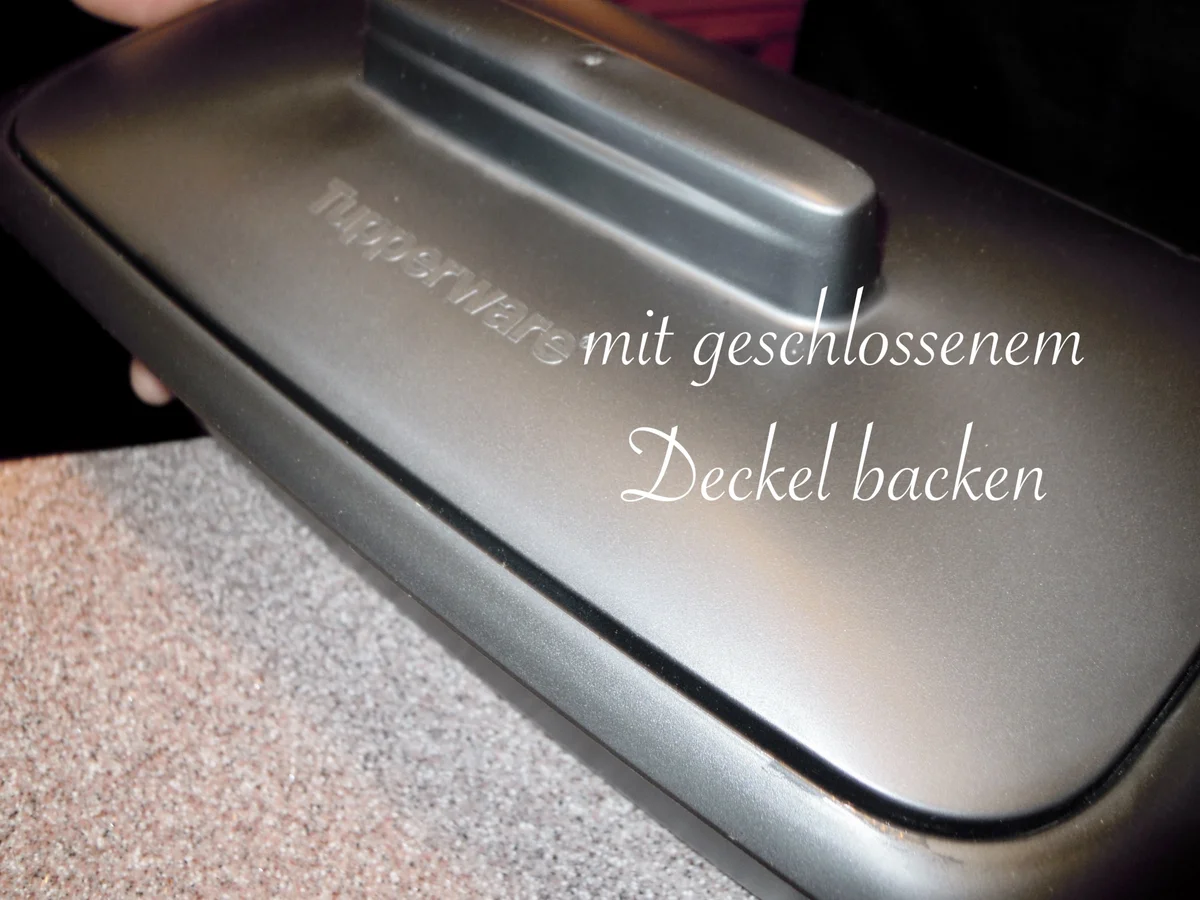 Käse - Zwiebel - Brot - Rezept - Bild Nr. 1675