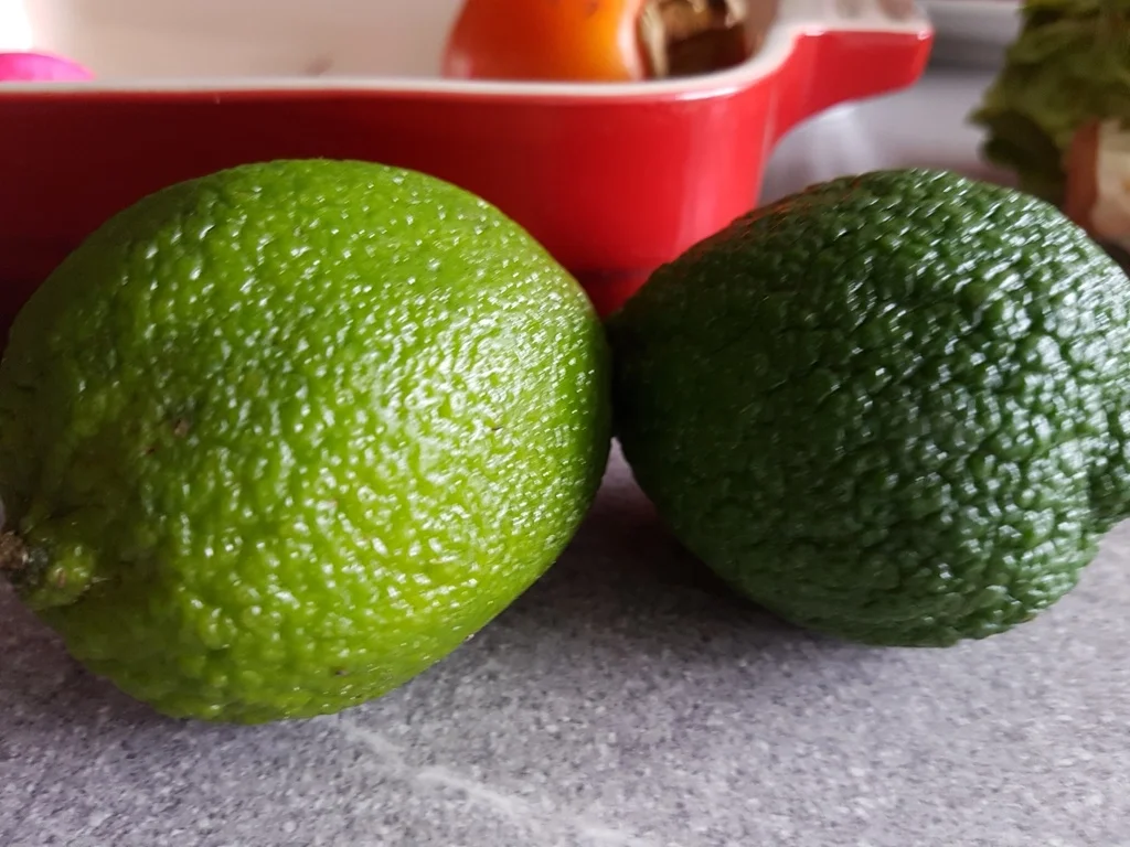 Gemüsesuppe (und kräftig Fleisch dabei) - Rezept - Bild Nr. 1671