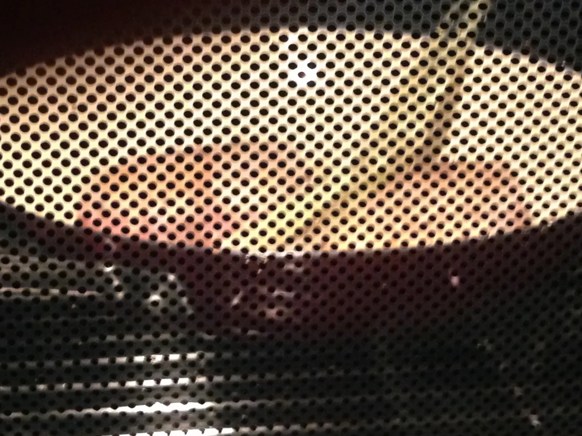 Zitronengras Hähnchen - Rezept - Bild Nr. 1692