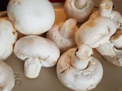 Champignon Rahmsosse (plus diverse Varianten) - Rezept - Bild Nr. 1687