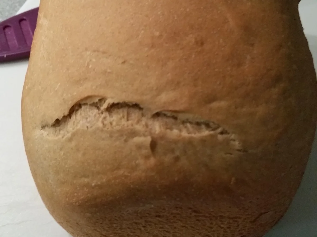 Rezept: Roggenmischbrot aus dem BBA Bild Nr. 1699 Roggenmischbrot aus dem BBA - Rezept - Bild Nr. 1699