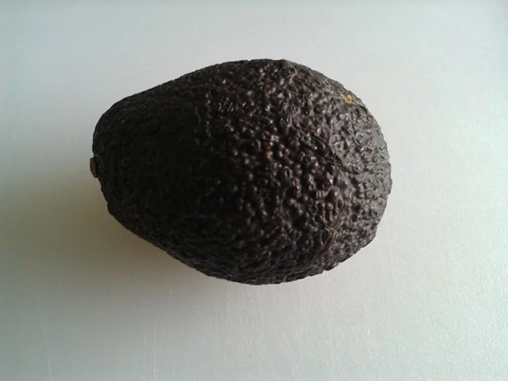 Pizza mit Avocado und Champignons - Rezept - Bild Nr. 1700