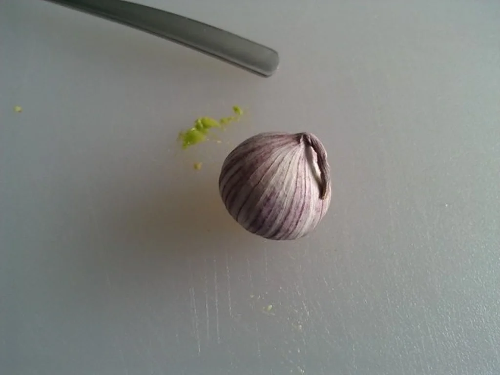 Pizza mit Avocado und Champignons - Rezept - Bild Nr. 1702