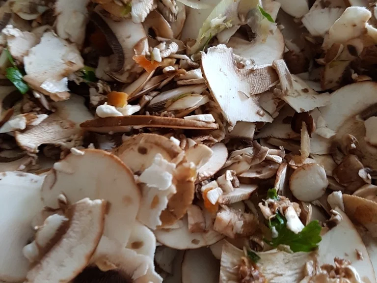 Pizza mit Avocado und Champignons - Rezept - Bild Nr. 1705