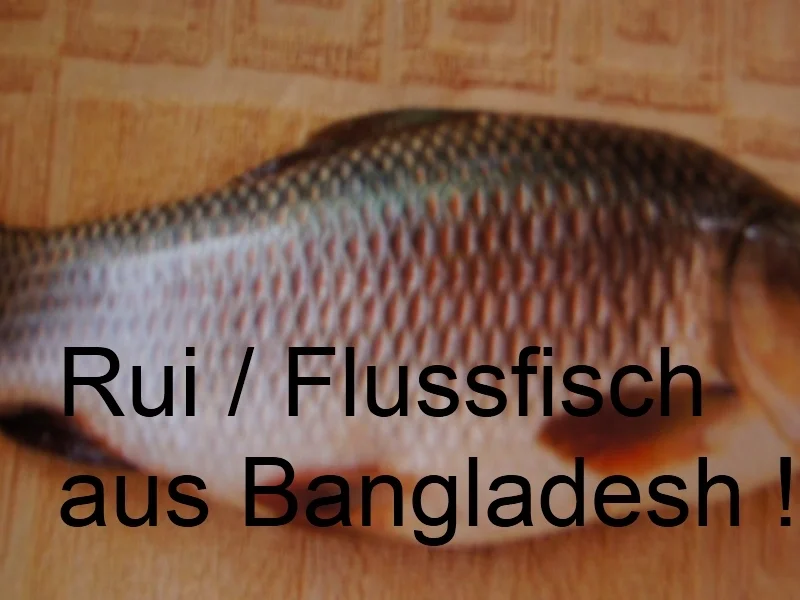 Fischcurry nach Sidek - Rezept - Bild Nr. 1707