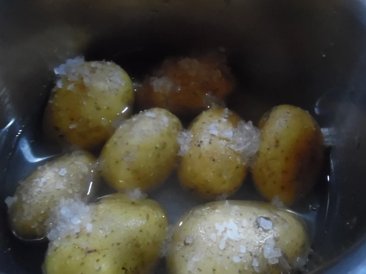 Kartoffeln in Salzkruste "Kanarische Kartoffeln" - Rezept - Bild Nr. 1707