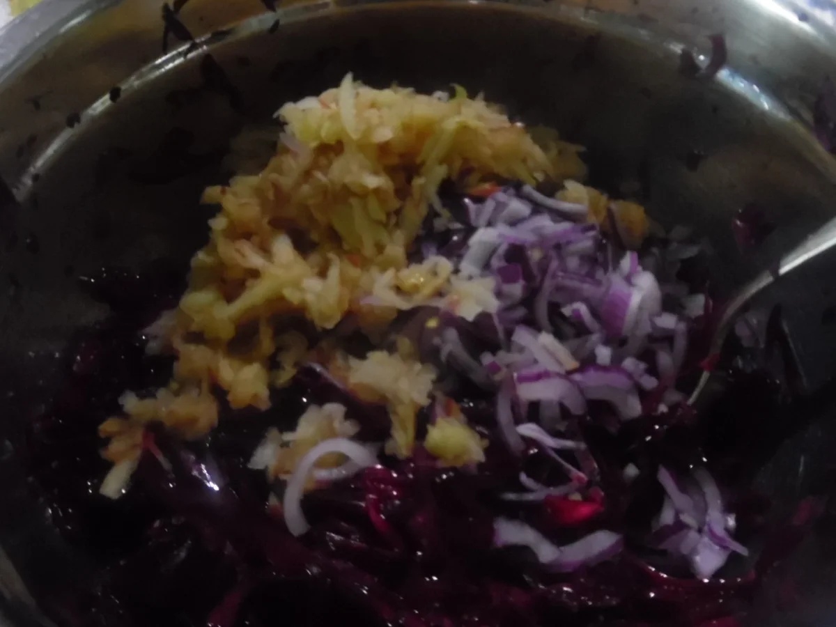 Rezept: Rotkraut-Salat Bild Nr. 1730 Rotkraut-Salat - Rezept - Bild Nr. 1730