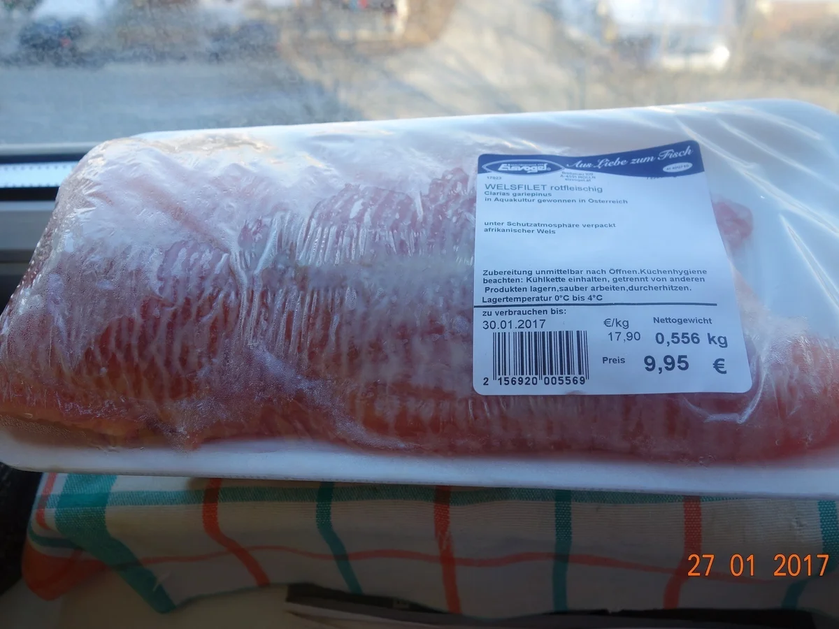 Afrikan.Wels in österr.Aqua - Rezept - Bild Nr. 1740