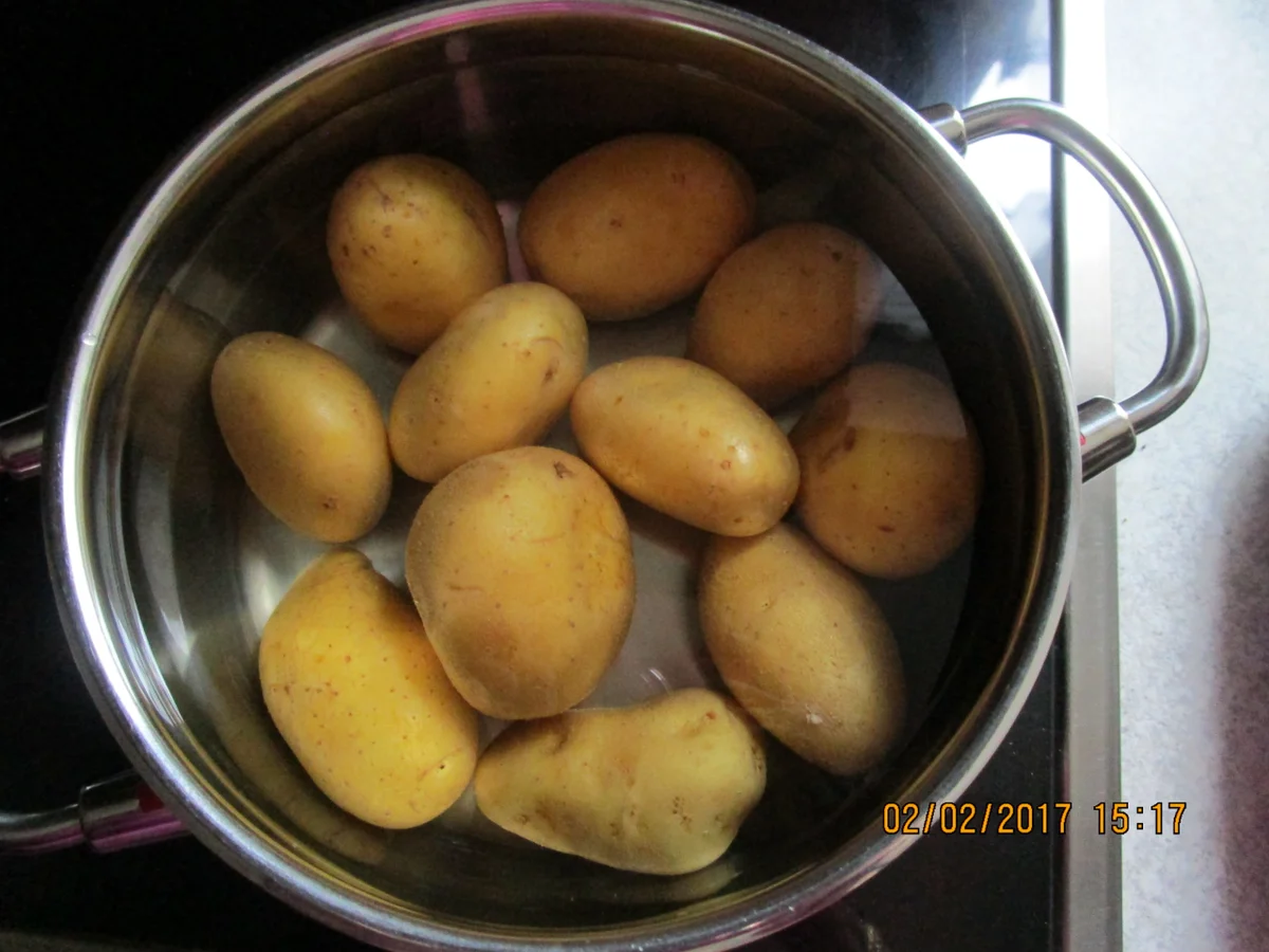 Rezept: Kartoffel-Käse-Gratin Bild Nr. 1741 Kartoffel-Käse-Gratin - Rezept - Bild Nr. 1741