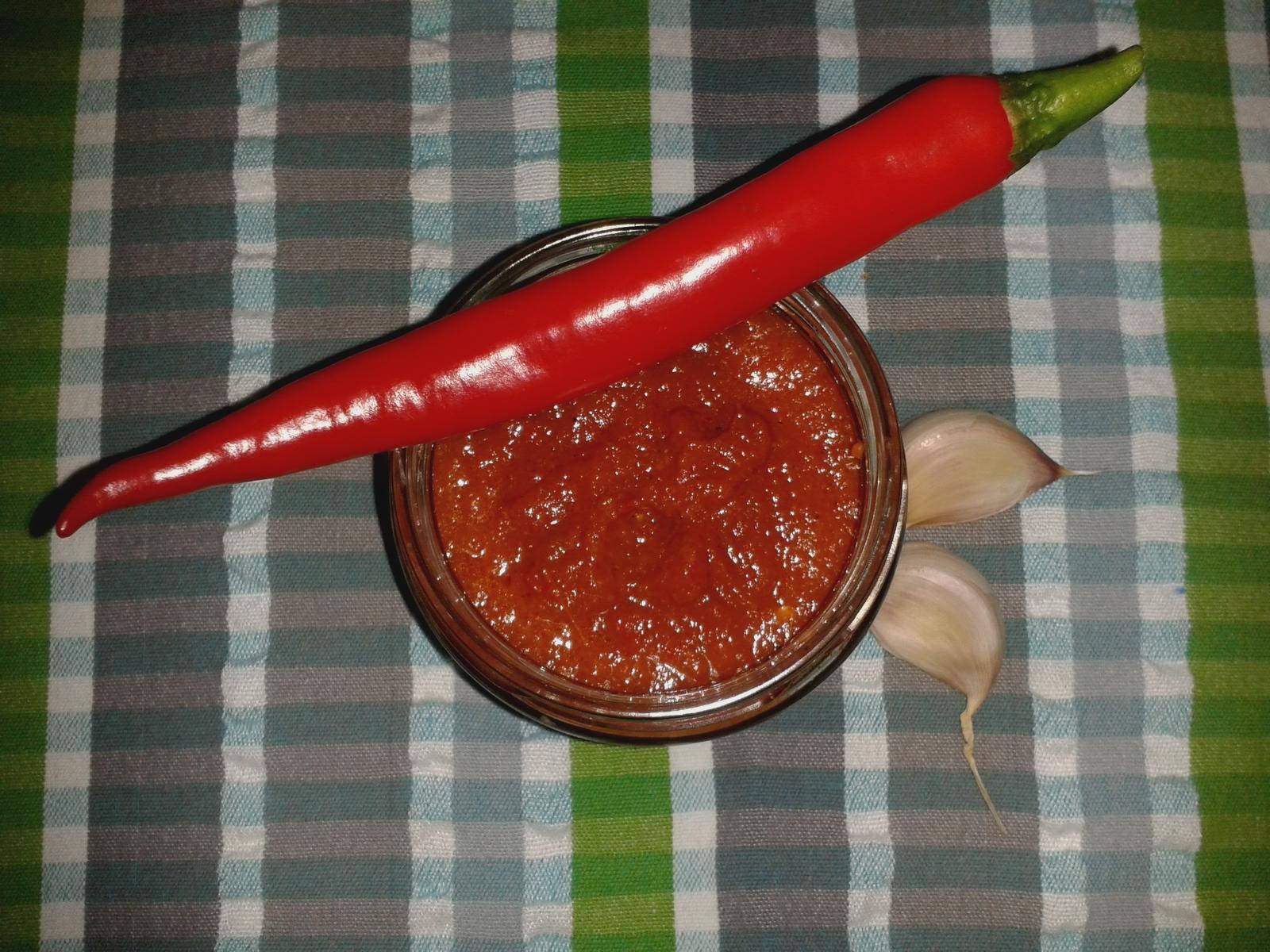 Salsa picante - Rezept Gesendet von Coly-Bree