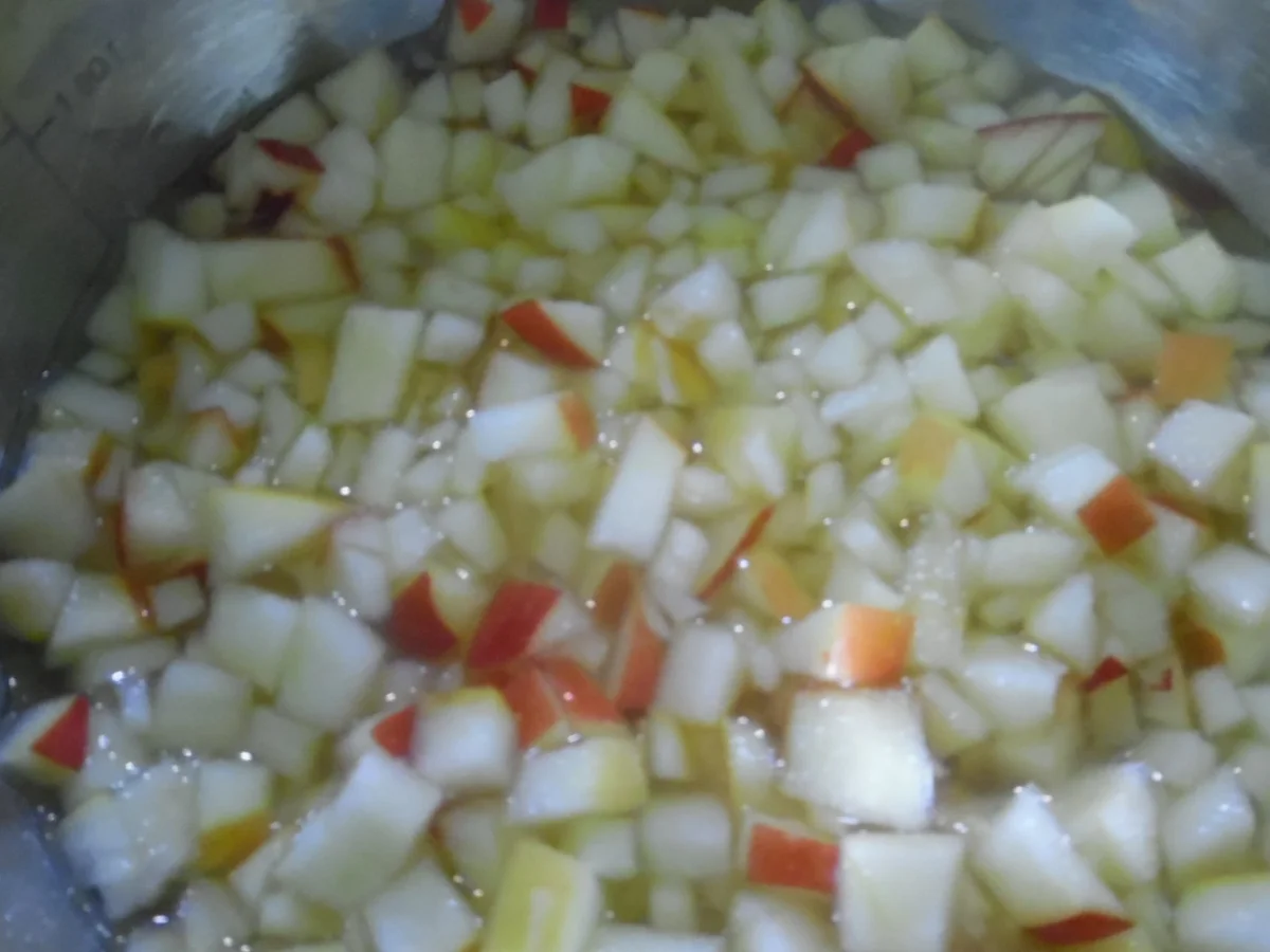 Apfeltaschen aus Kartoffelteig - Rezept - Bild Nr. 1757