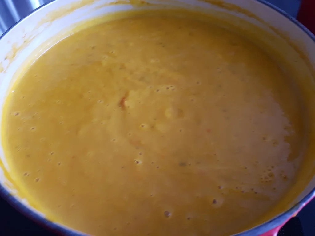 Rezept: Kürbis Mangosuppe (HOT) Bild Nr. 1763 Kürbis Mangosuppe (HOT) - Rezept - Bild Nr. 1763