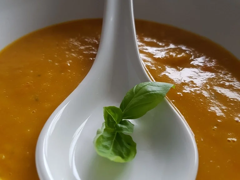 Rezept: Kürbis Mangosuppe (HOT) Bild Nr. 1764 Kürbis Mangosuppe (HOT) - Rezept - Bild Nr. 1764