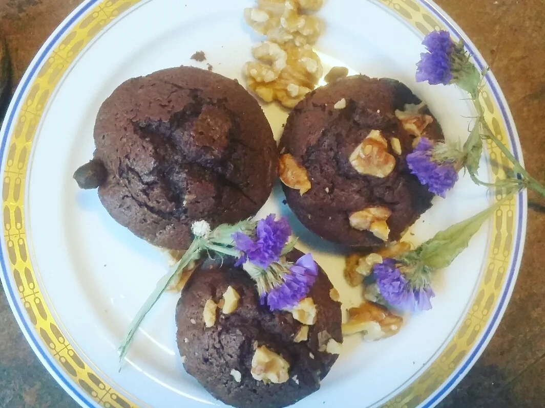 Schoko-Walnuß-Törtchen - Rezept - Bild Nr. 1813