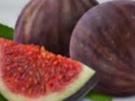 Feigenchutney - Rezept - Bild Nr. 1826