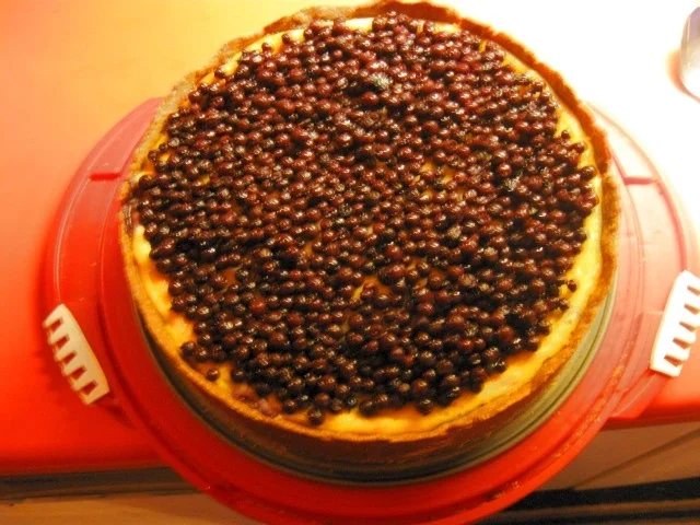 Rahm Kuchen mit Heidelbeeren - Rezept - Bild Nr. 1881