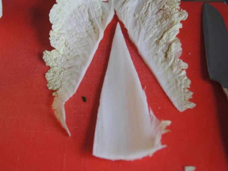 Fettucine-Pasta mit gemischten Salat - Rezept - Bild Nr. 4