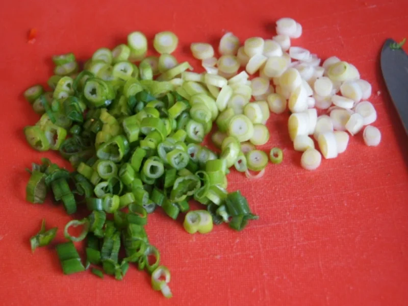 Fettucine-Pasta mit gemischten Salat - Rezept - Bild Nr. 8