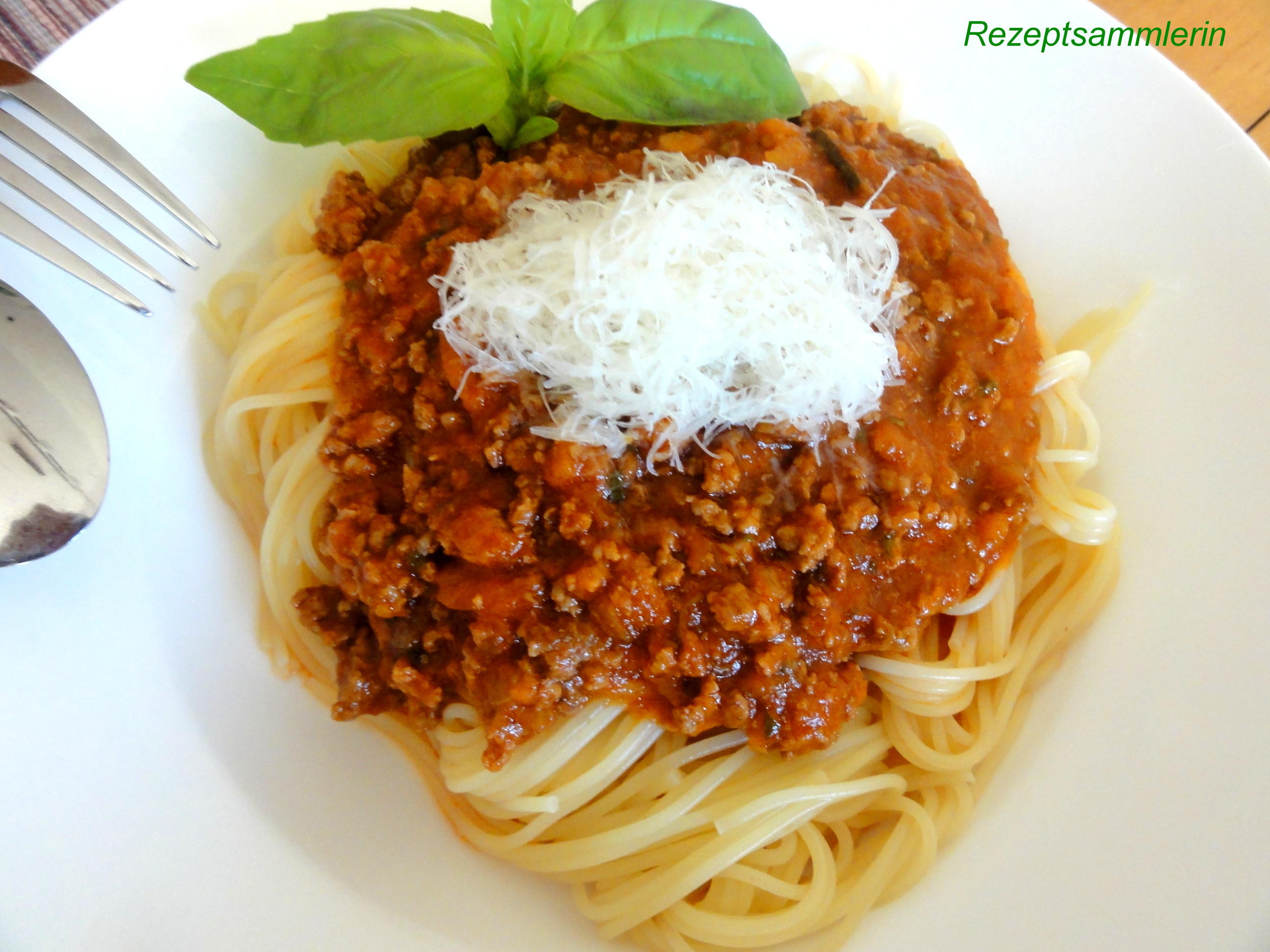 Bilder für Sauce: BOLOGNESE - Rezept